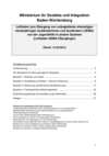 Leitfaden zum Übergang von unbegleiteten ehemaligen minderjährigen Ausländerinnen und Ausländern (UEMA) von der Jugendhilfe in andere Systeme (Leitfaden-UEMA-Übergänger)