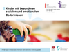 Ergebnisse zum Abschlussbericht zur Erarbeitung und Erprobung einer strukturierten Vorgehensweise und eines Erhebungsinstruments bie Kindergartenkindern mit besonderen emotionalen und sozialen Bedürfnissen