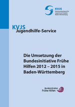 Die Umsetzung der Bundesinitiative Frühe Hilfen 2012 bis 2015 in Baden-Württemberg, (2015)